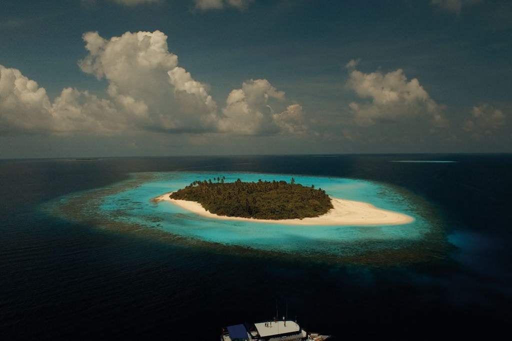 Stella McCartney teams up with Parley for the Oceans on long-term project