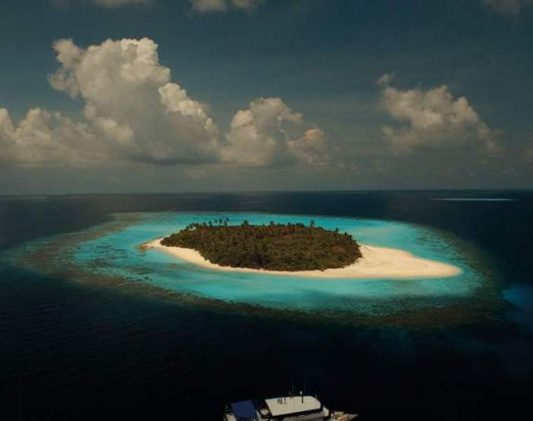 Stella McCartney teams up with Parley for the Oceans on long-term project