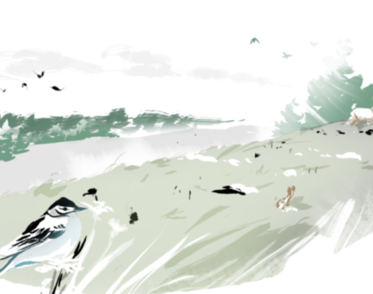 Kering and Conservation International launch Regenerative Fund for Nature