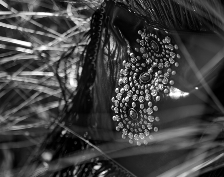 Marco Campomaggi publishes book: The Voice of Necessity