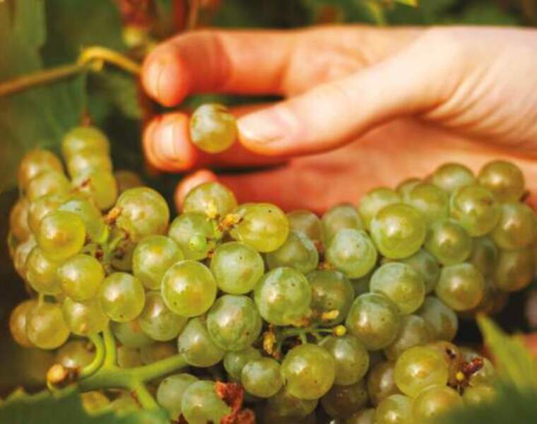 LVMH publishes consolidated report on social & environmental commitments