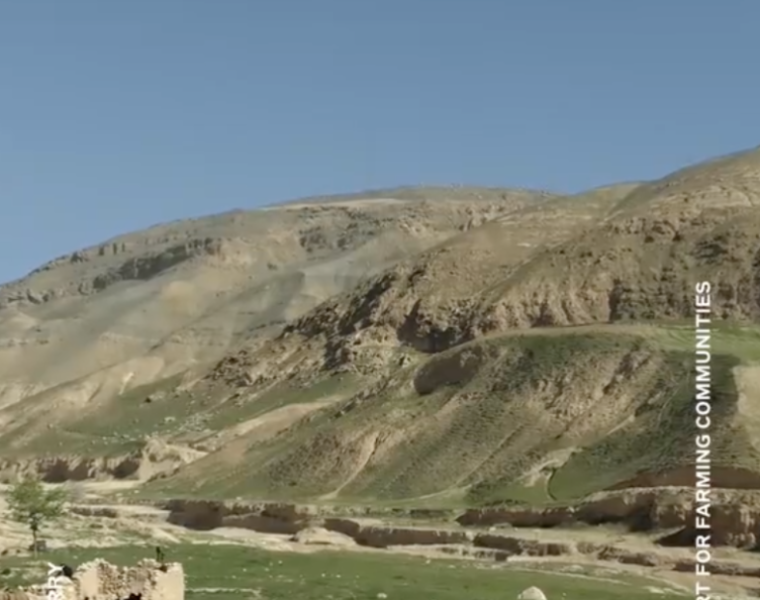 Burberry announces biodiversity strategy at COP26