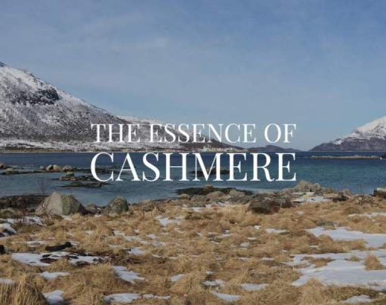 Richard J. Brown F/W 24-25 collection