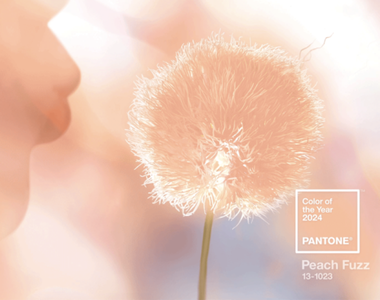 Pantone colour of 2024: Peach Fuzz