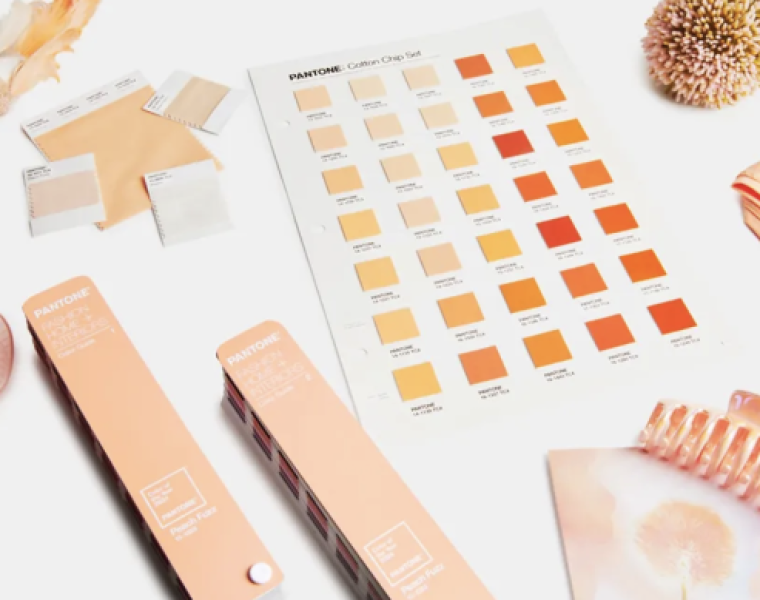 Pantone colour of 2024: Peach Fuzz
